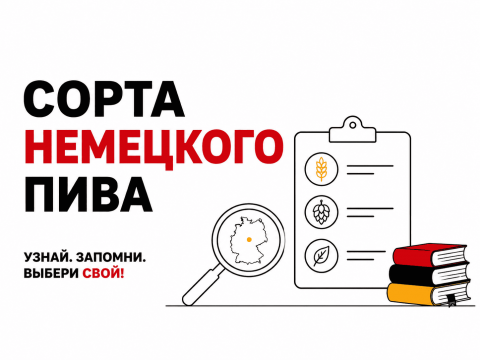 Викторина: хорошо ли вы знаете сорта немецкого пива?